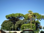  PB100181.JPG 